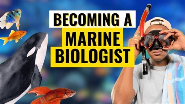 Is Kori Garza Married? Learn Everything About The Marine Biologist