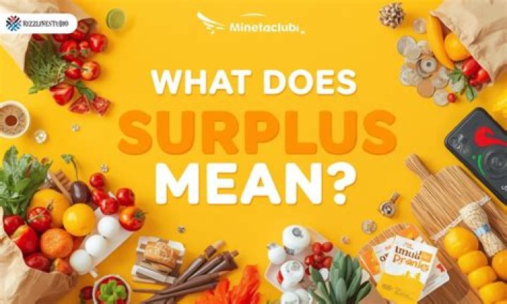 What does mean surplus